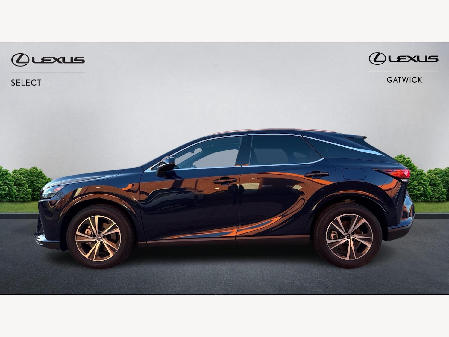 Used Lexus RX 2025 for sale - 76855904: Photo 3