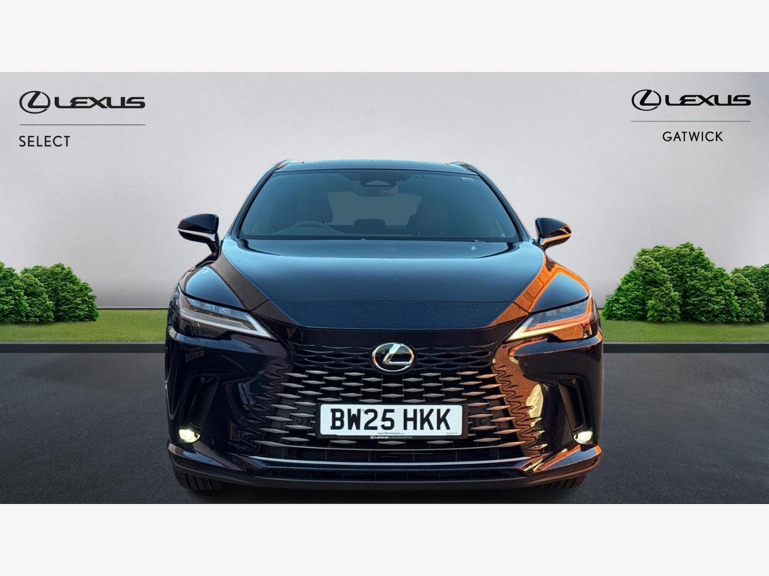 Used Lexus RX 2025 for sale - 76855904: Photo 6