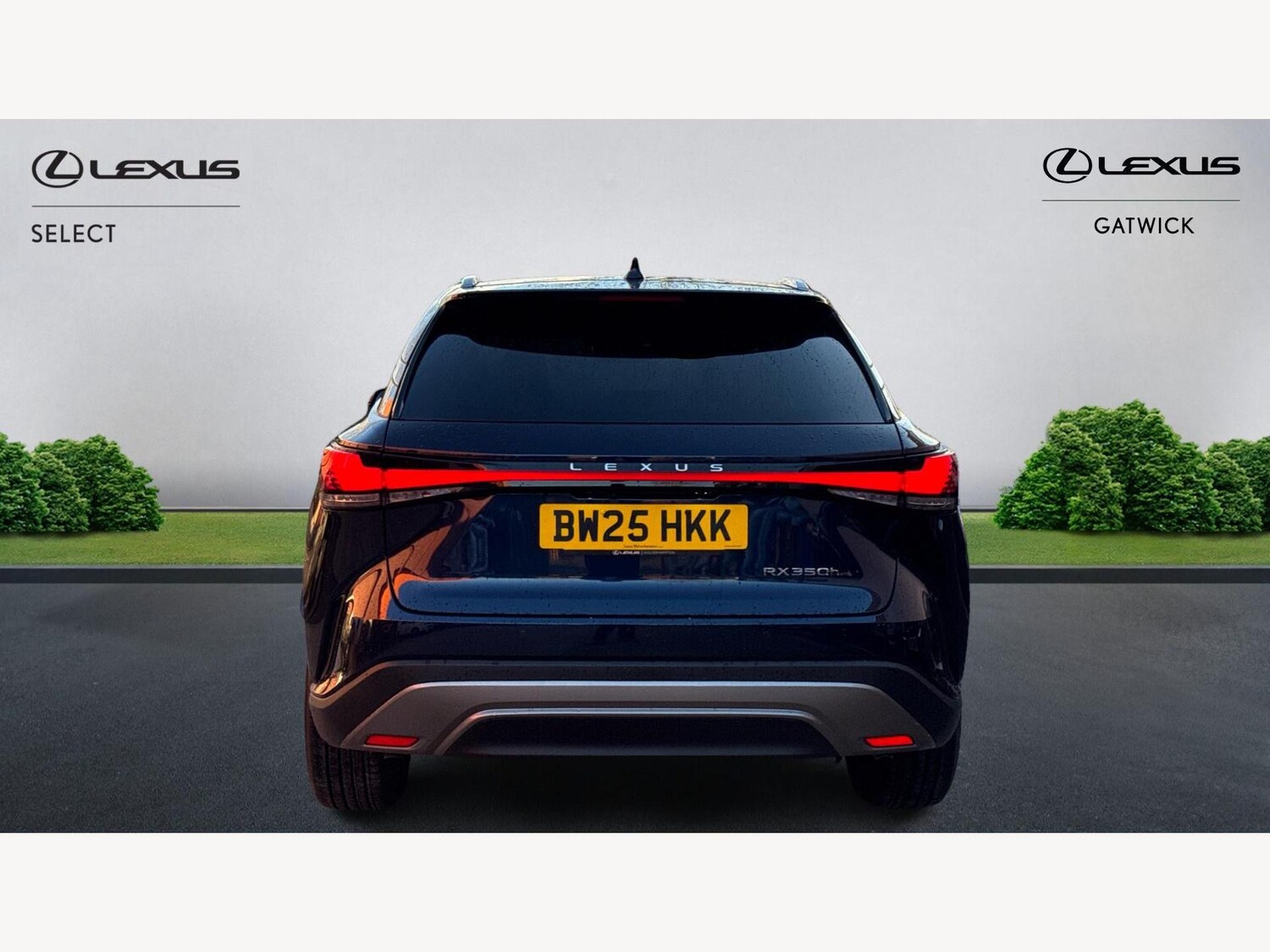 Used Lexus RX 2025 for sale - 76855904: Photo 7