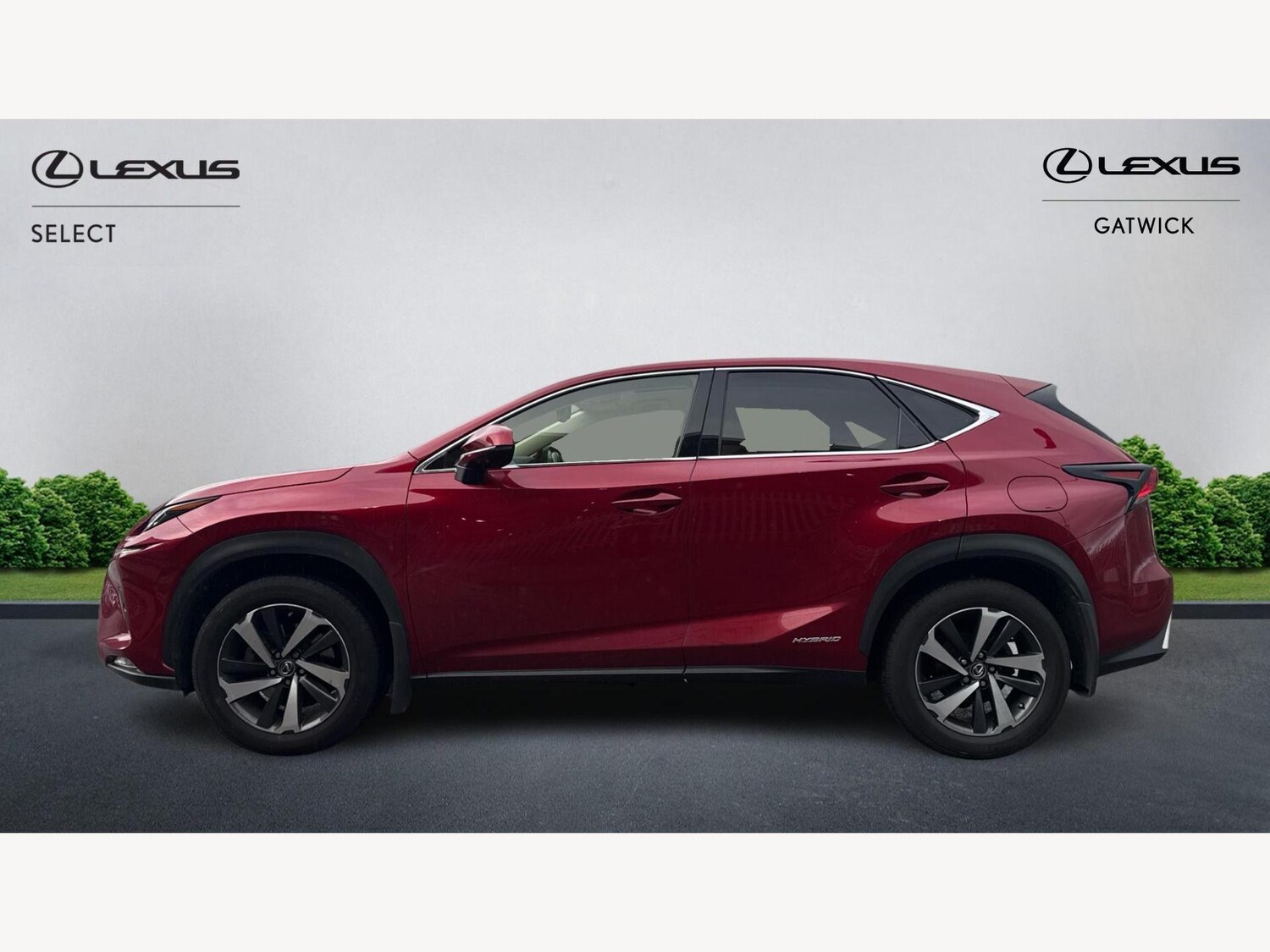 Used Lexus NX for sale - 77395678: Photo 3