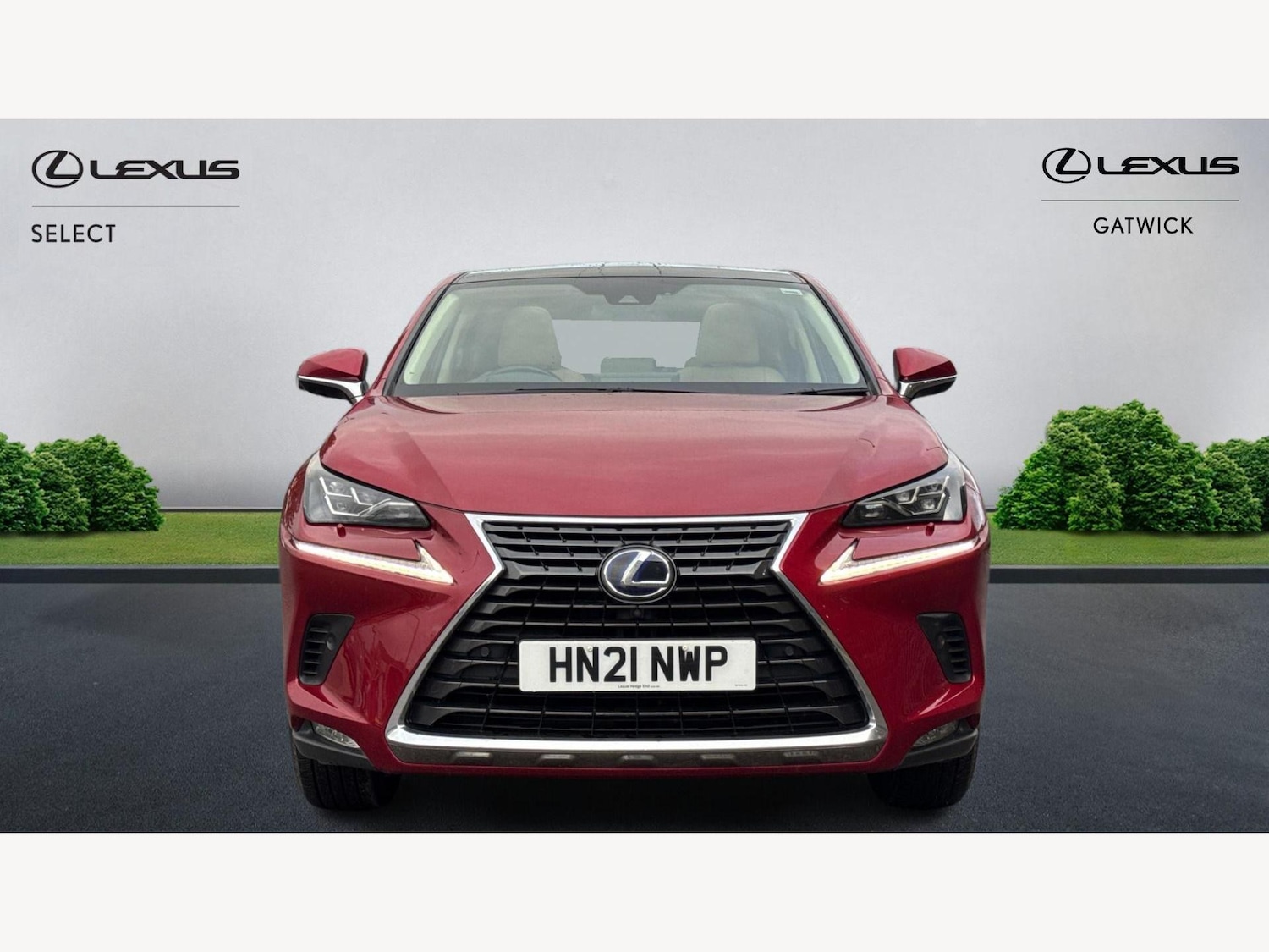 Used Lexus NX for sale - 77395678: Photo 6