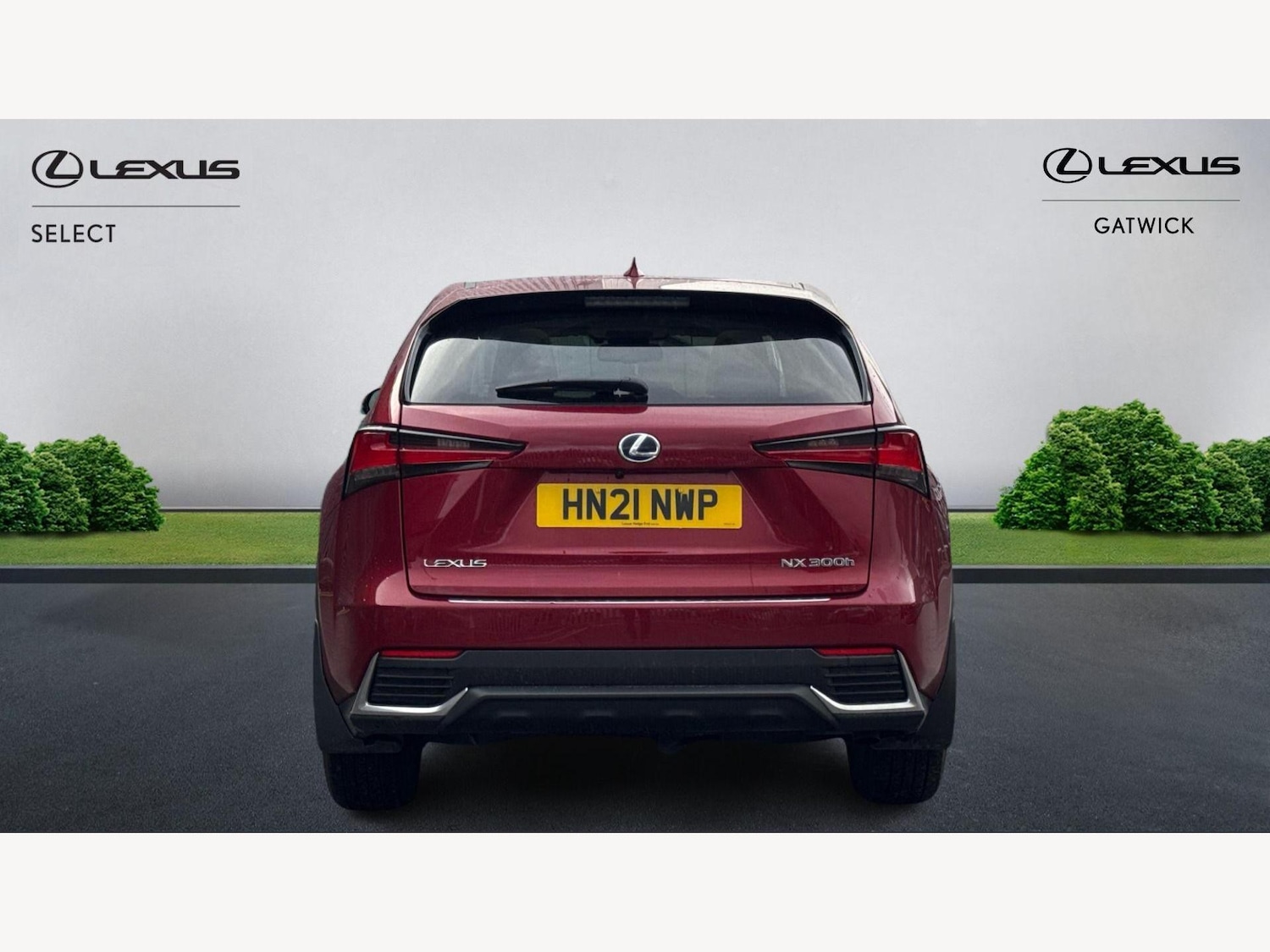 Used Lexus NX for sale - 77395678: Photo 7