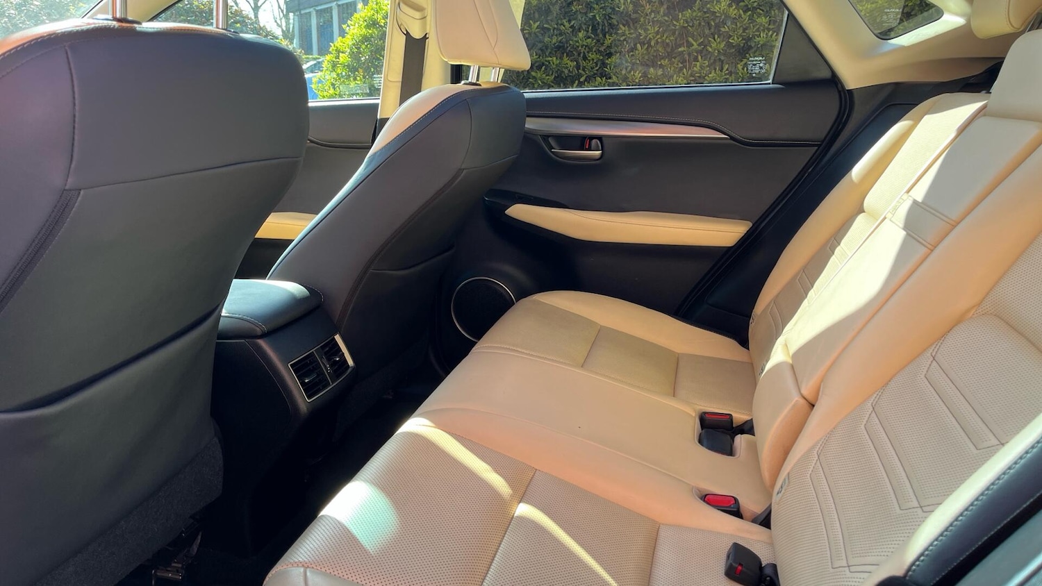 Used Lexus NX for sale - 78214427: Photo 16