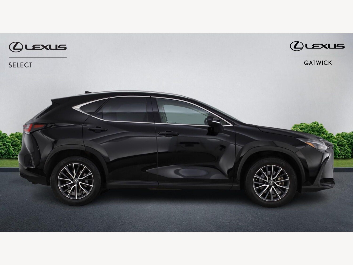 Used Lexus NX for sale - 77898485: Photo 18