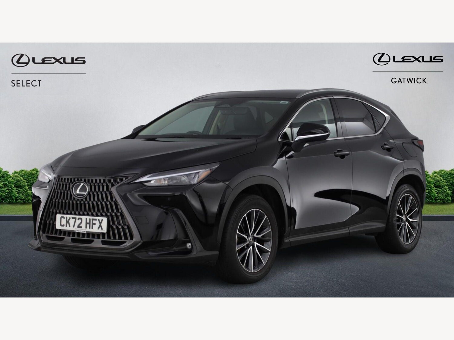 Used Lexus NX for sale - 77898485: Photo 19