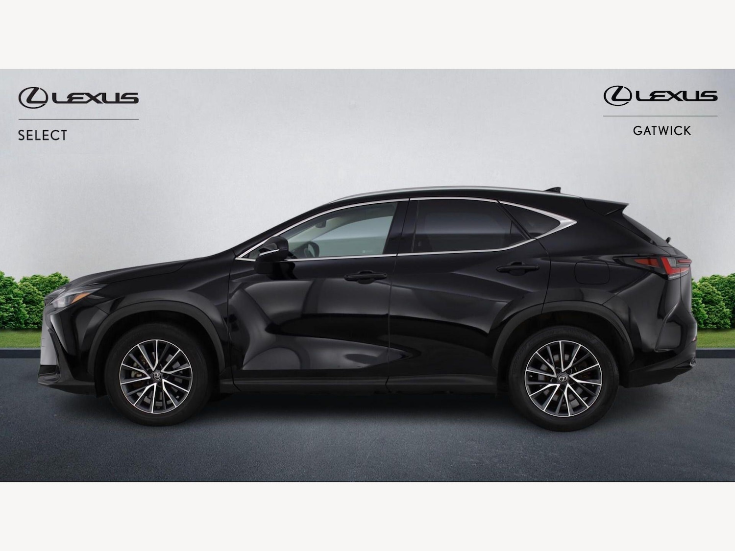 Used Lexus NX for sale - 77898485: Photo 3