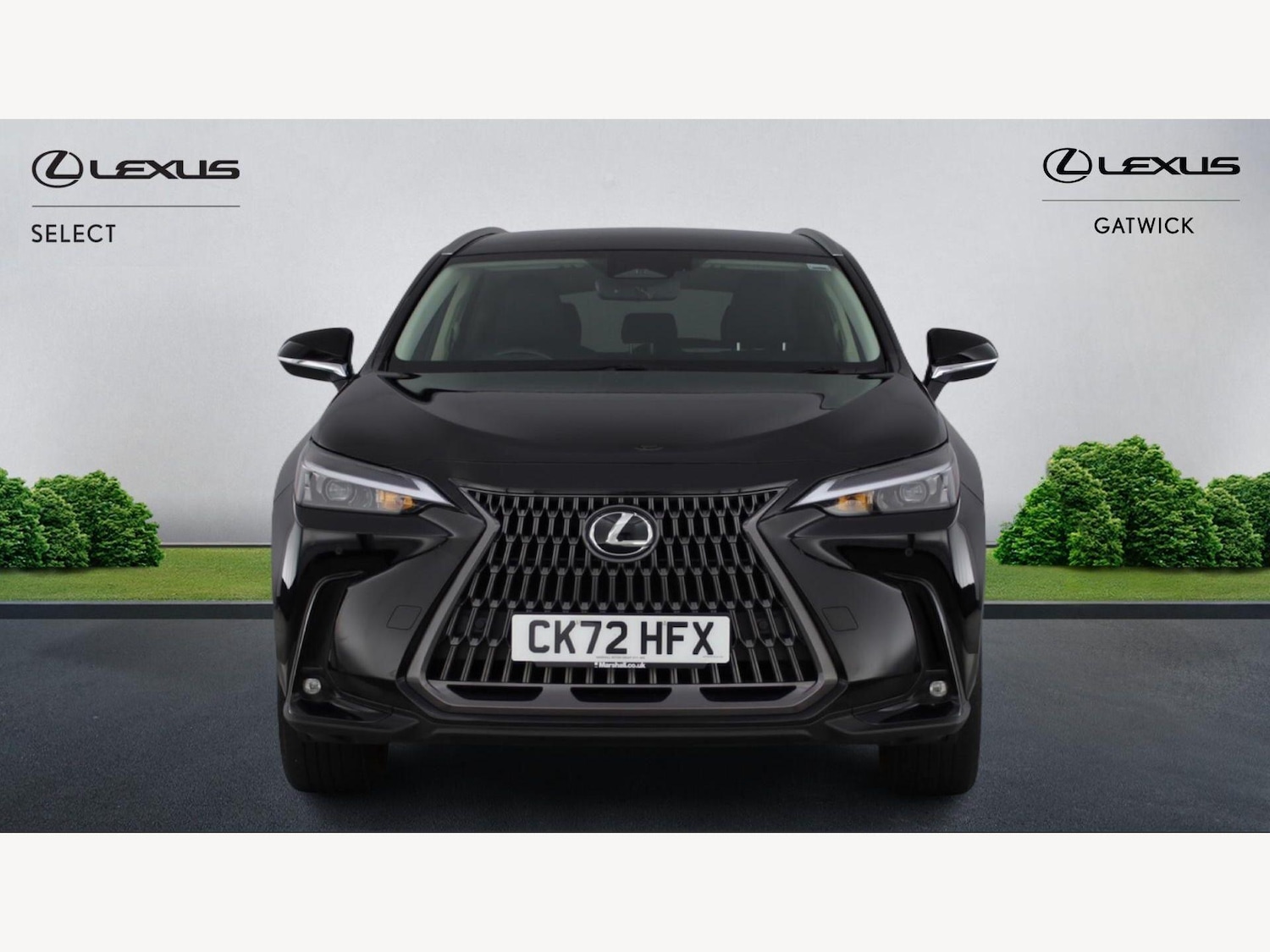 Used Lexus NX for sale - 77898485: Photo 6