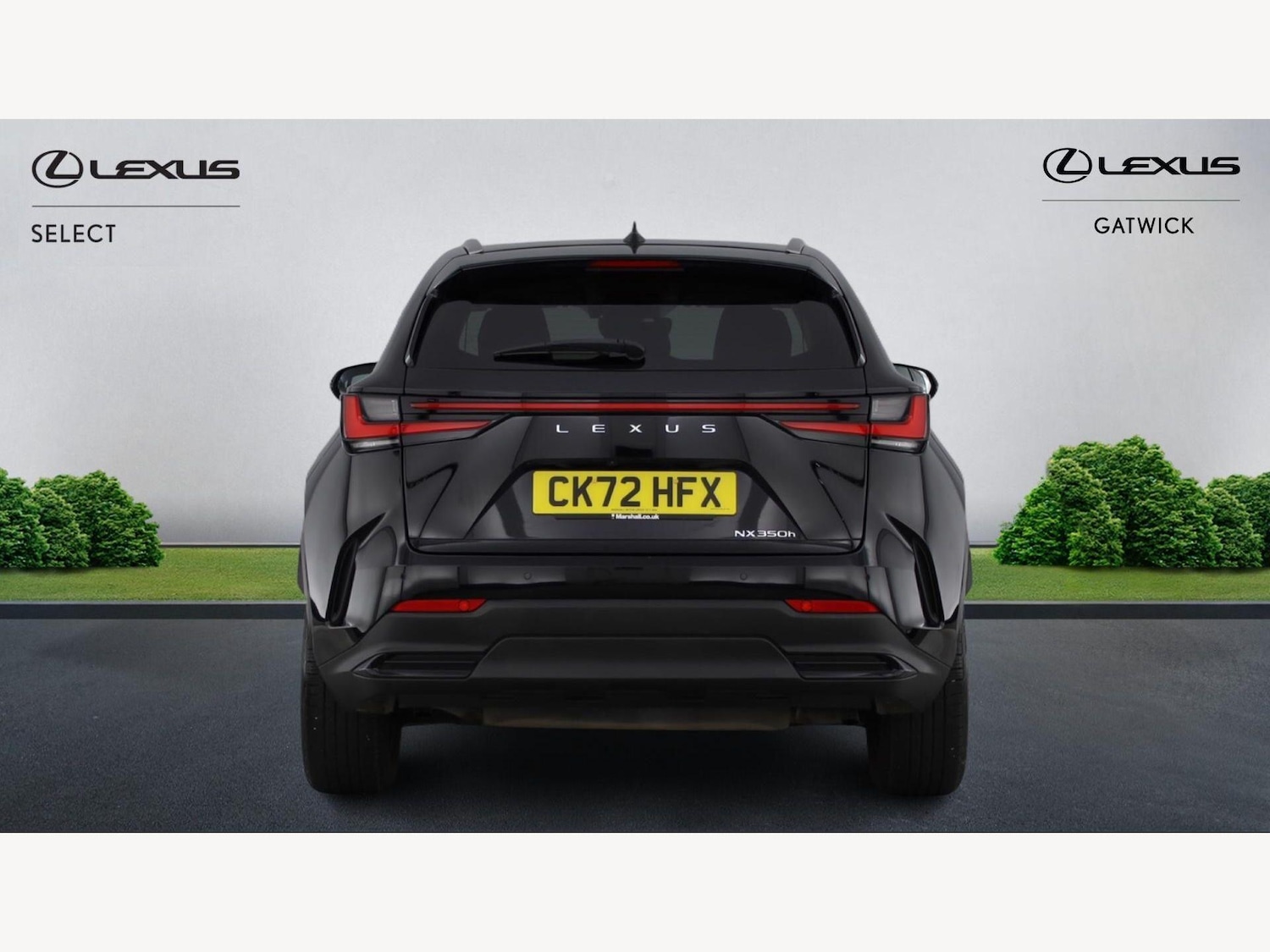 Used Lexus NX for sale - 77898485: Photo 7