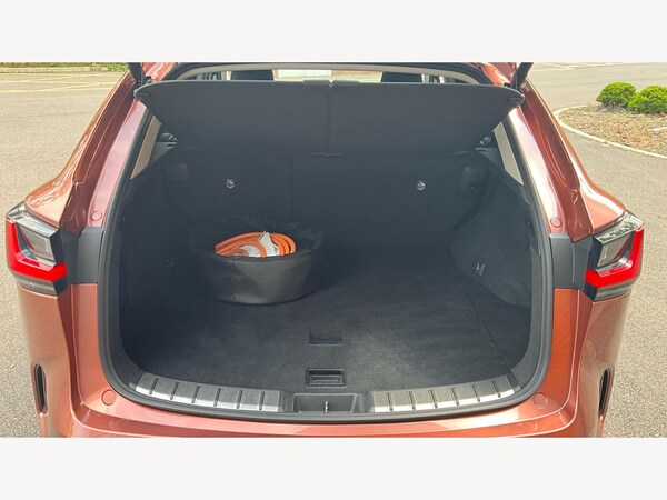 Used Lexus NX 2025 for sale - 75478045: Photo 17