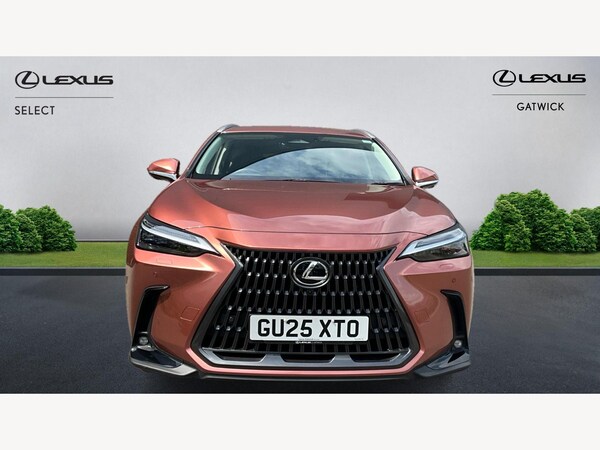 Used Lexus NX 2025 for sale - 75478045: Photo 6