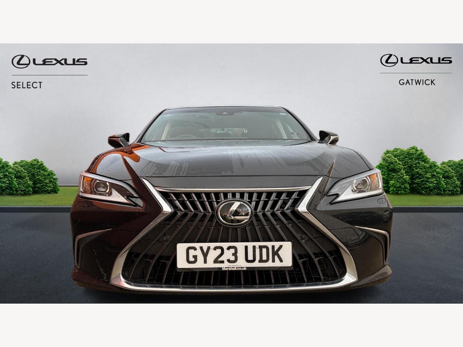 Used Lexus ES 2023 for sale - 77166667: Photo 6