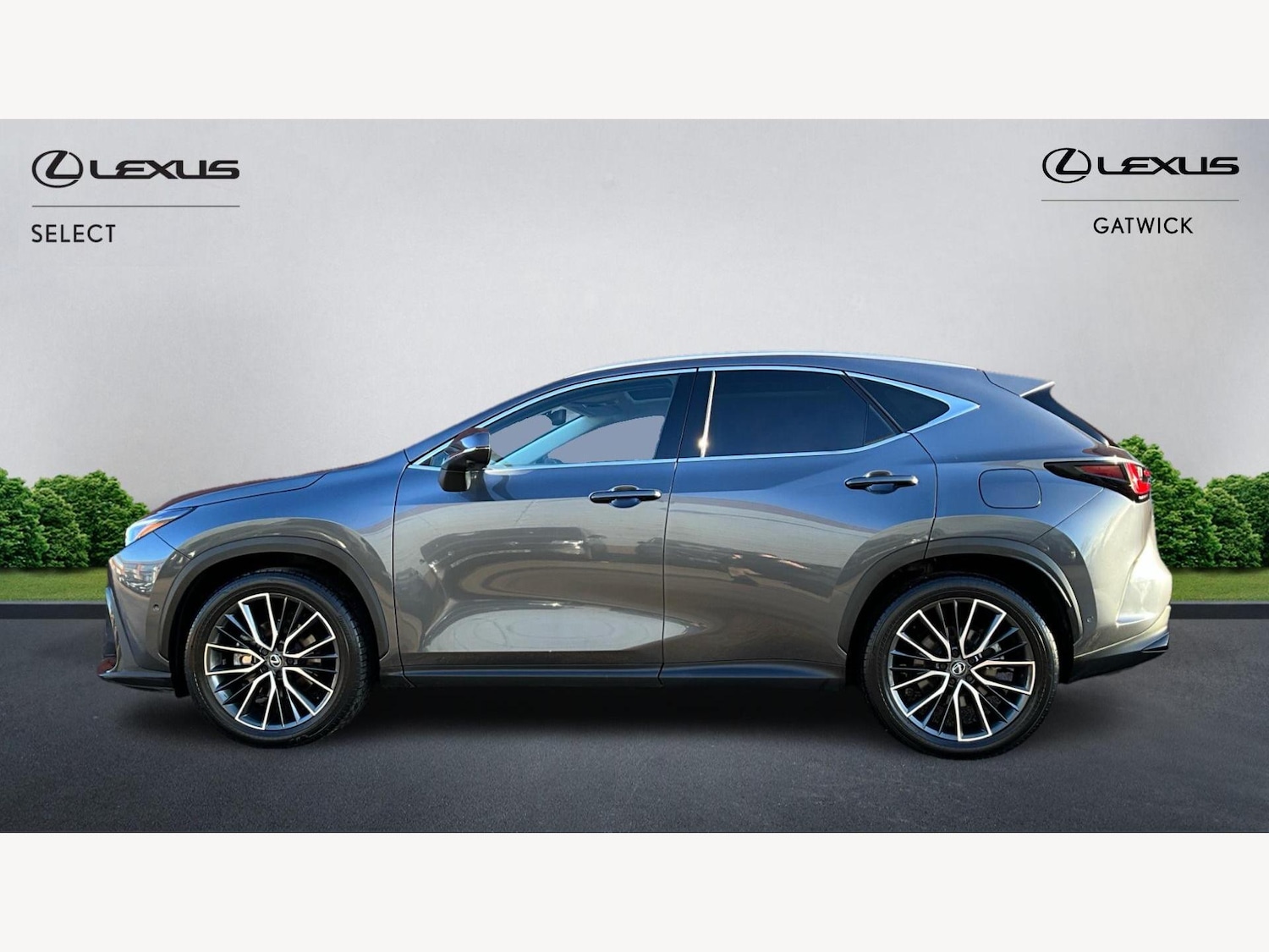 Used Lexus NX 2023 for sale - 76866263: Photo 3