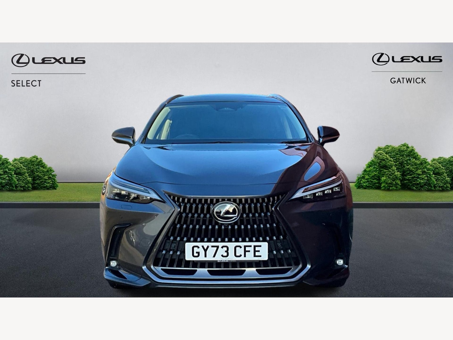 Used Lexus NX 2023 for sale - 76866263: Photo 6