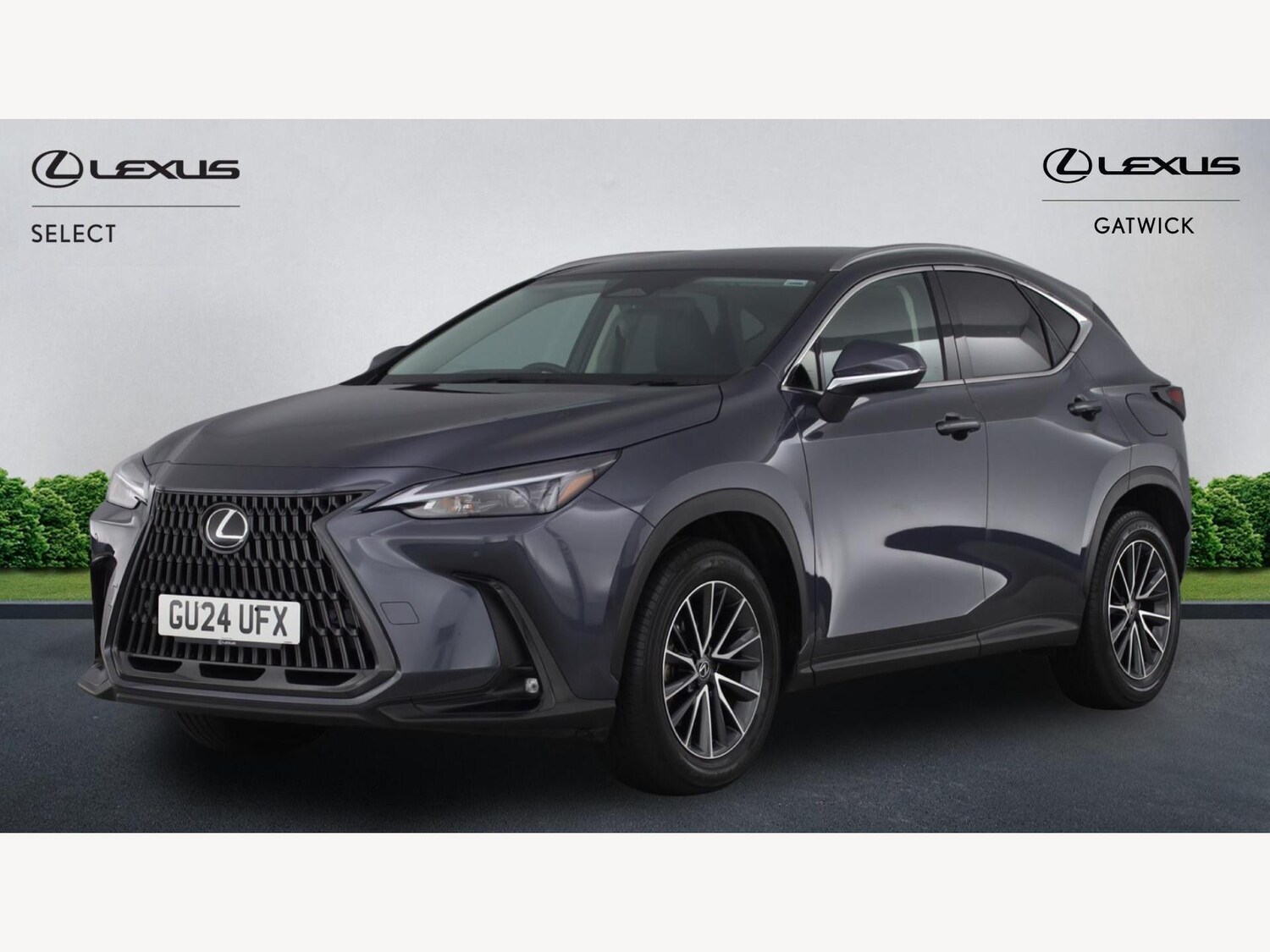 Used Lexus NX for sale - 77216127: Photo 19