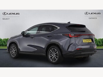 Used Lexus NX 2024 for sale - 77216127: Photo