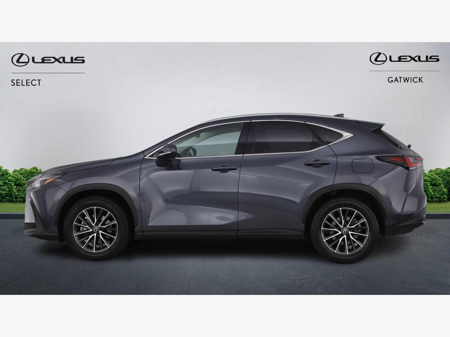 Used Lexus NX for sale - 77216127: Photo 3