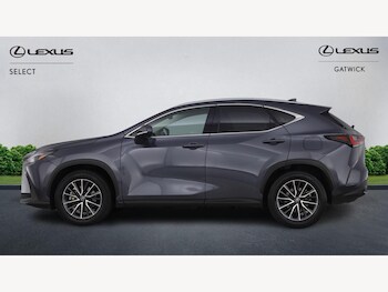 Used Lexus NX 2024 for sale - 77216127: Photo