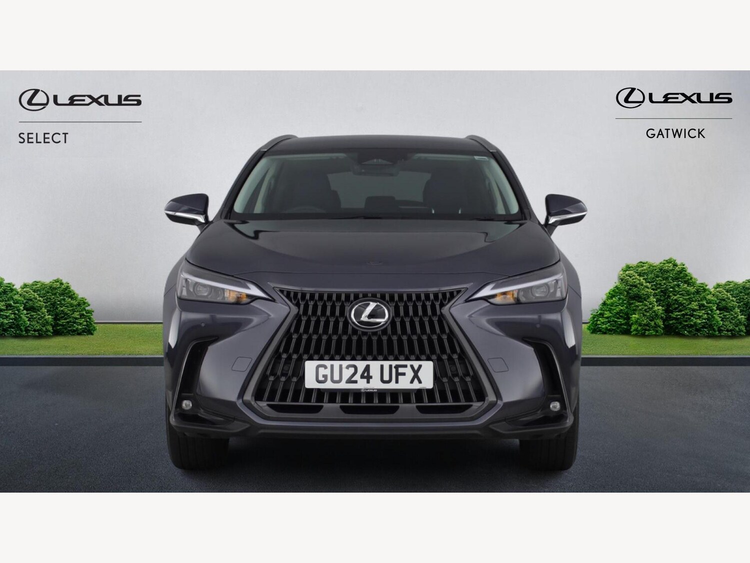 Used Lexus NX for sale - 77216127: Photo 6