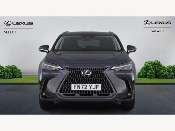 Used Lexus NX 2022 for sale - 76314841: Photo 6
