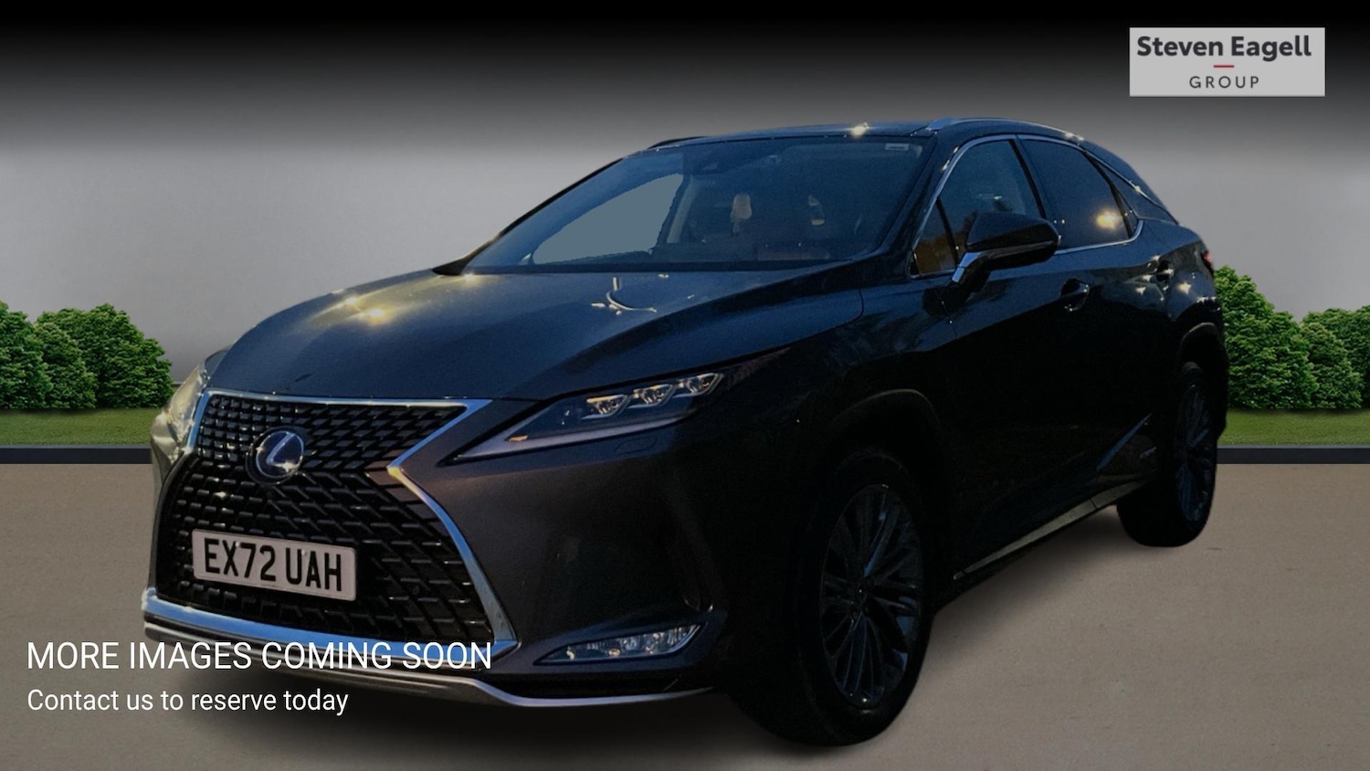 Used Lexus RX for sale - 77343829: Photo 3