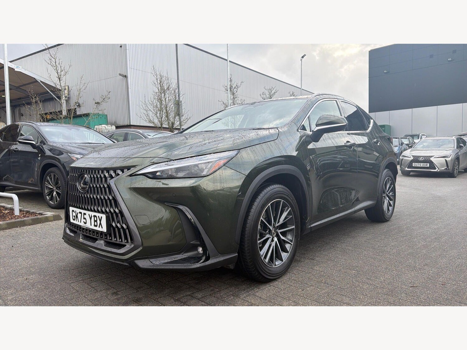 Used Lexus NX 2025 for sale - 77799308: Photo 19