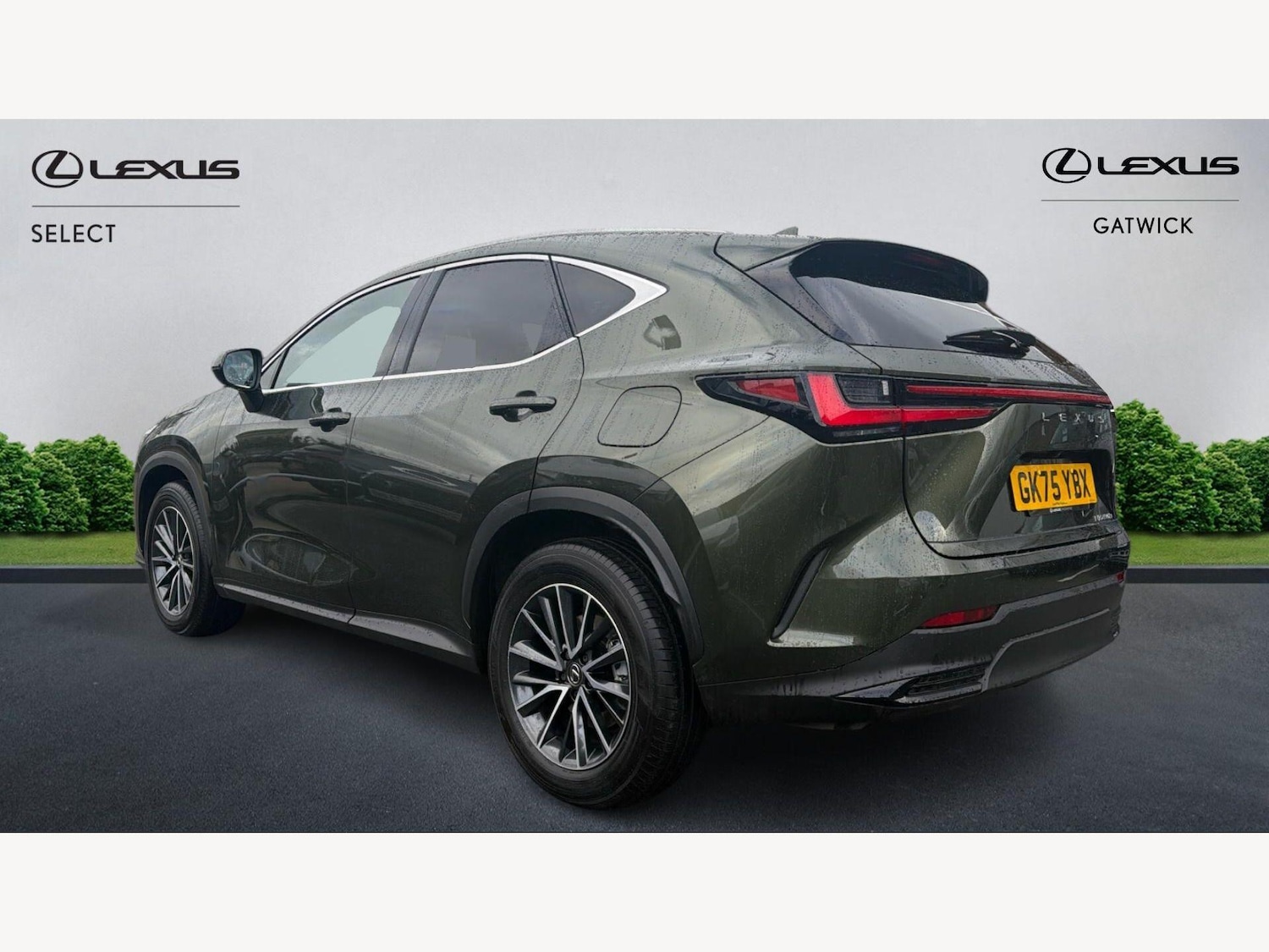 Used Lexus NX 2025 for sale - 77799308: Photo 2