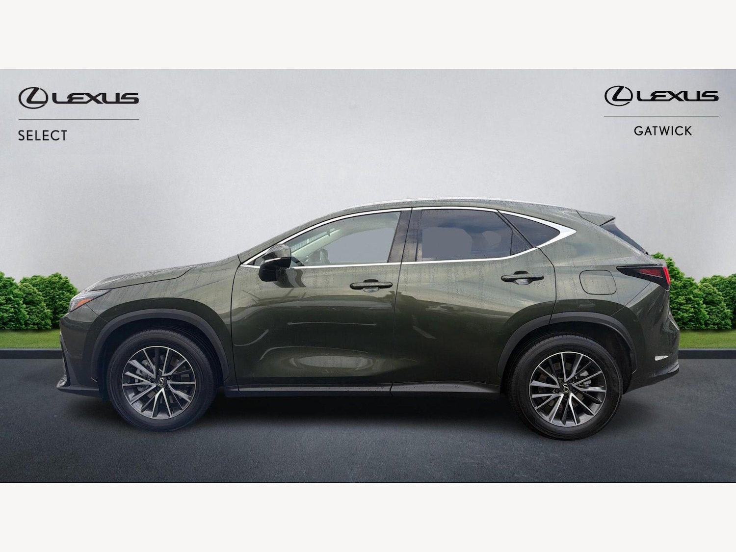 Used Lexus NX 2025 for sale - 77799308: Photo 3