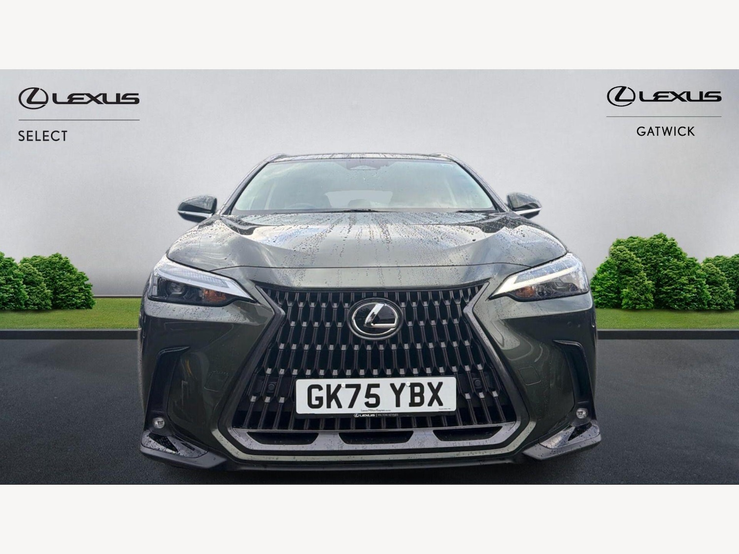 Used Lexus NX 2025 for sale - 77799308: Photo 6