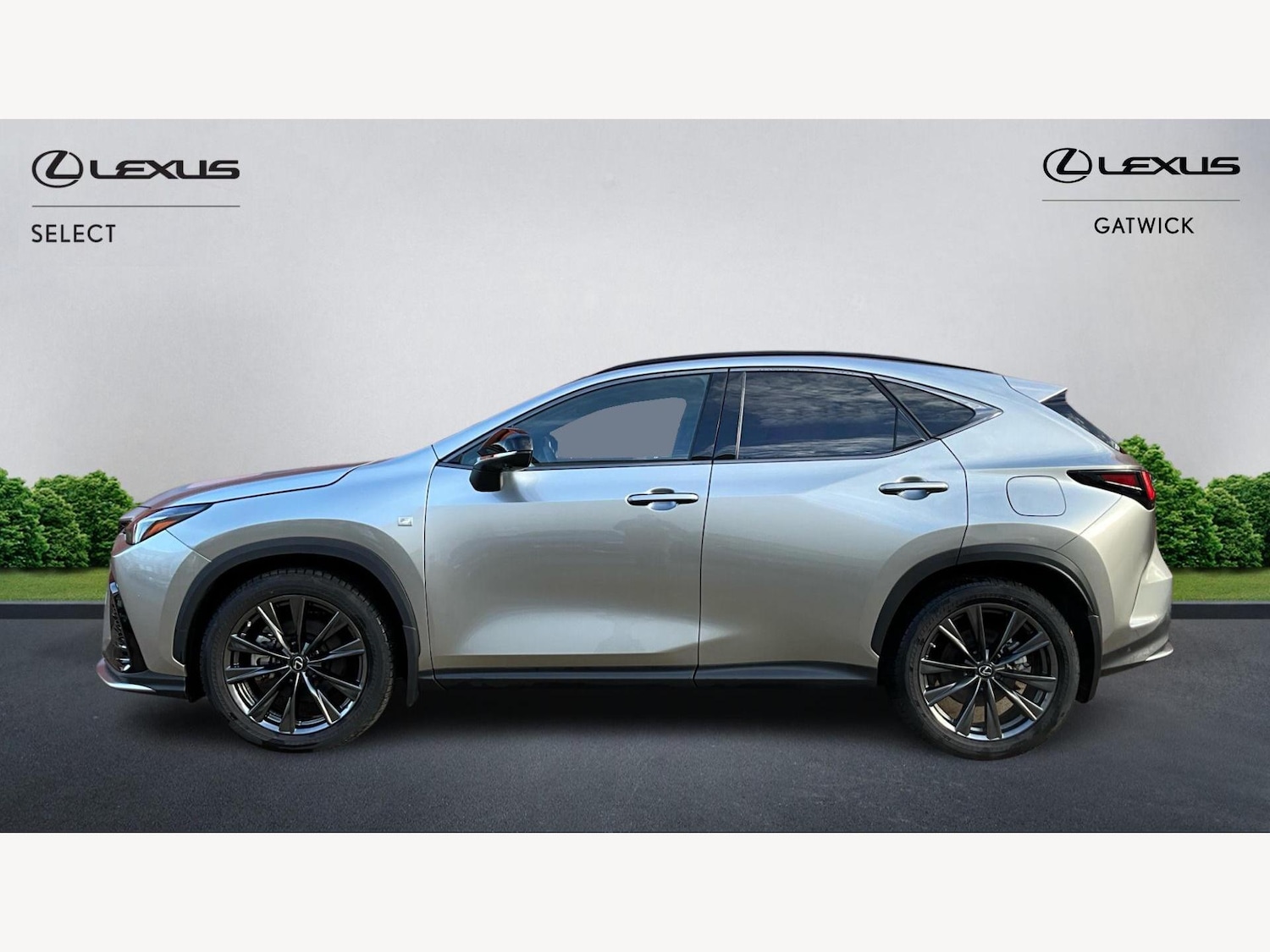 Used Lexus NX 2023 for sale - 77039944: Photo 3