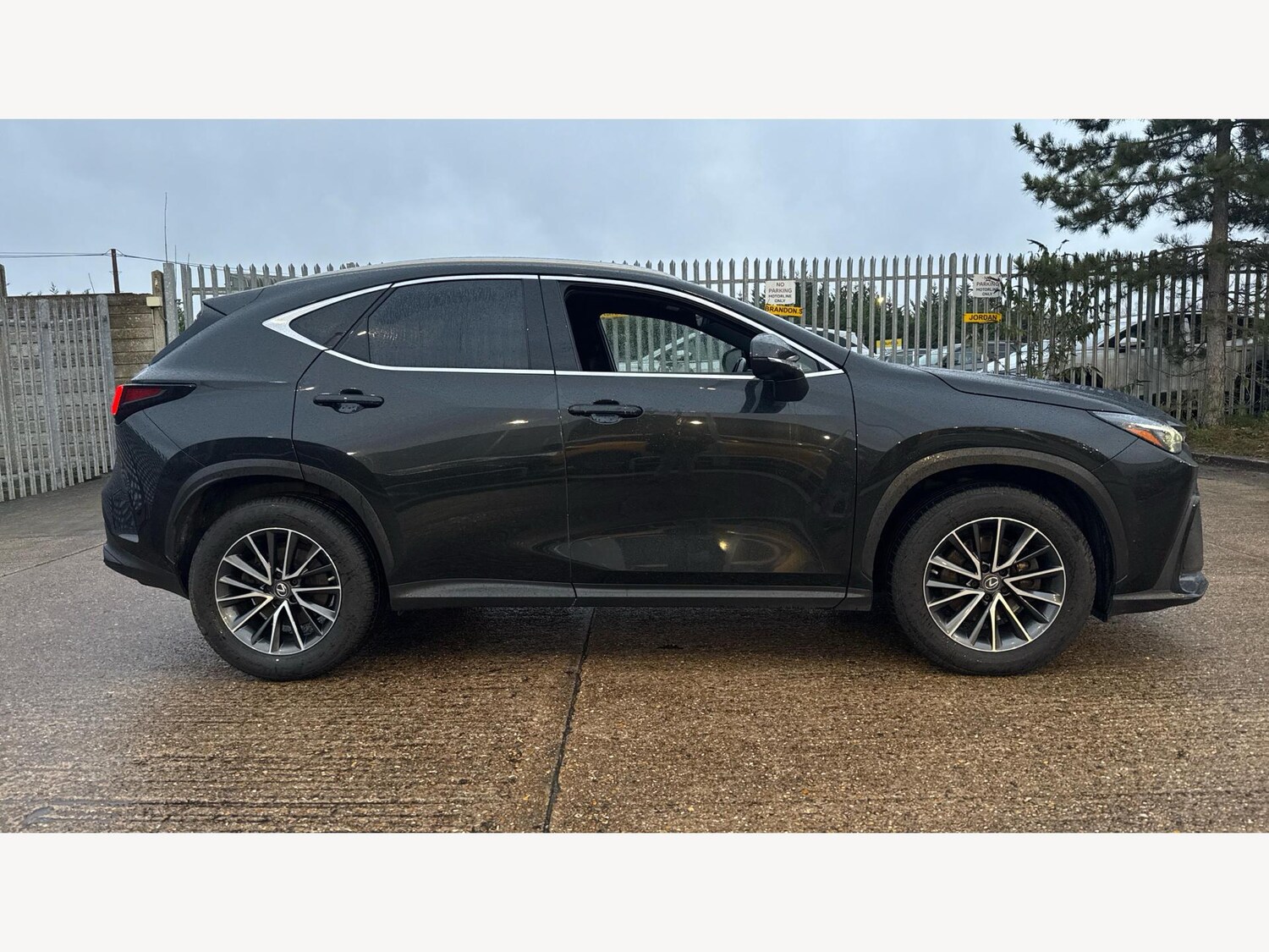 Used Lexus NX for sale - 77216054: Photo 18