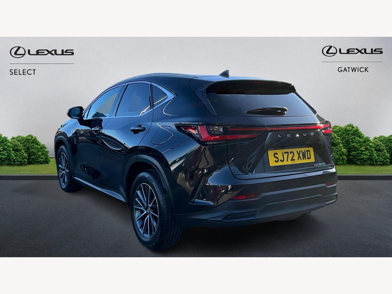 Used Lexus NX for sale - 77216054: Photo 2
