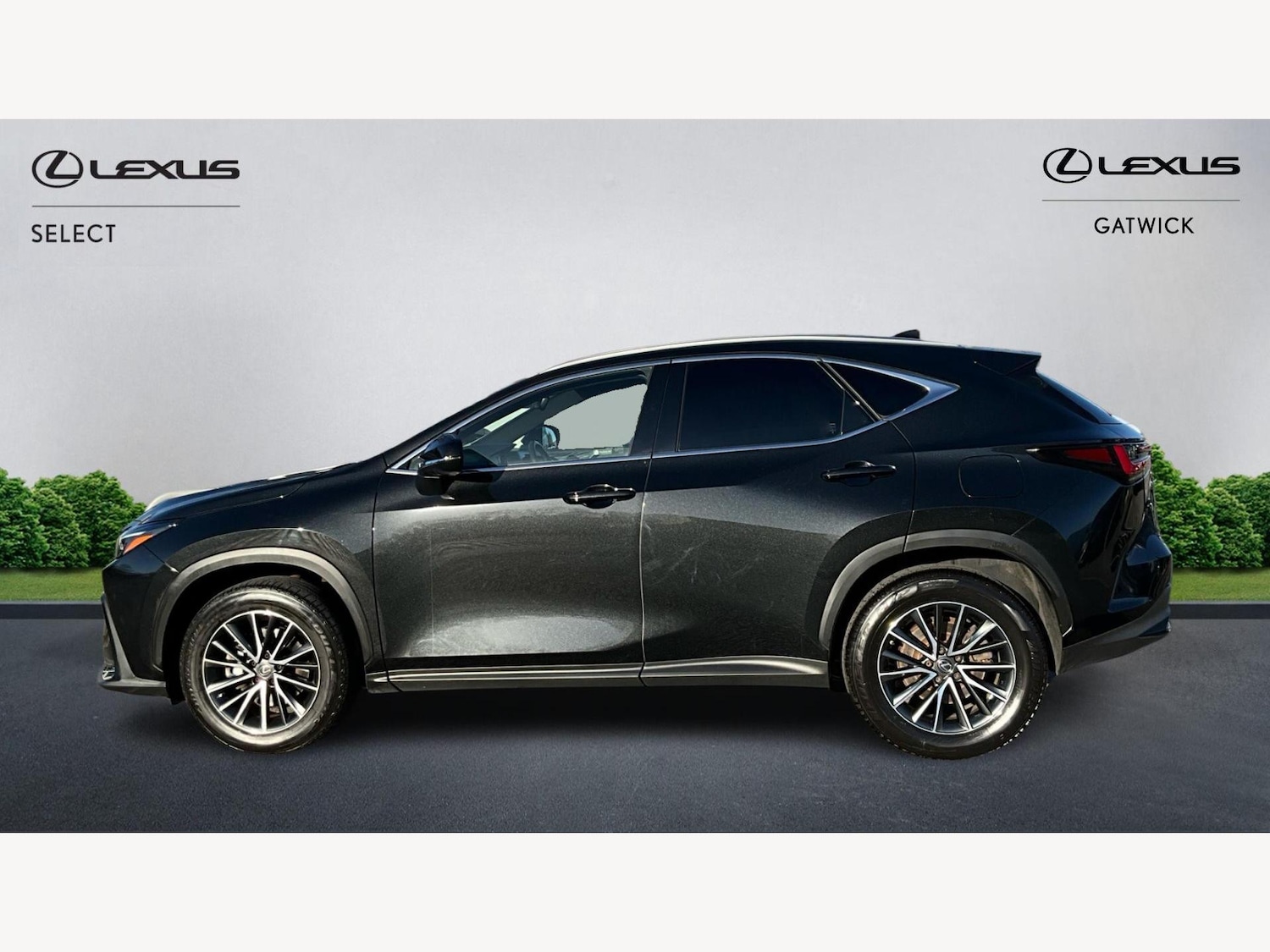 Used Lexus NX for sale - 77216054: Photo 3