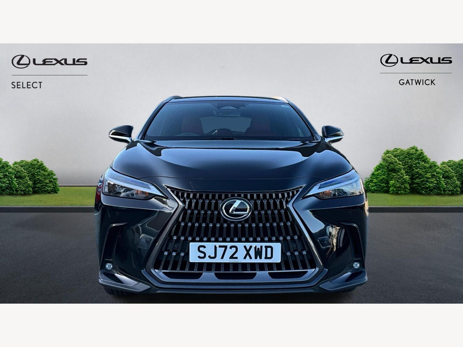 Used Lexus NX for sale - 77216054: Photo 6