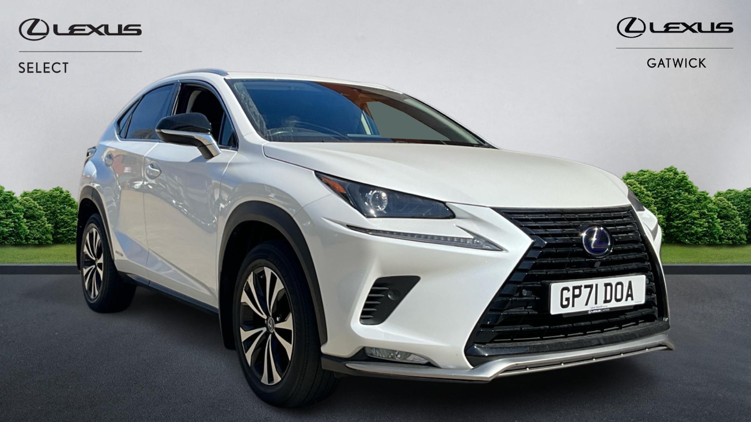 Used Lexus NX for sale - 78205237: Photo 1