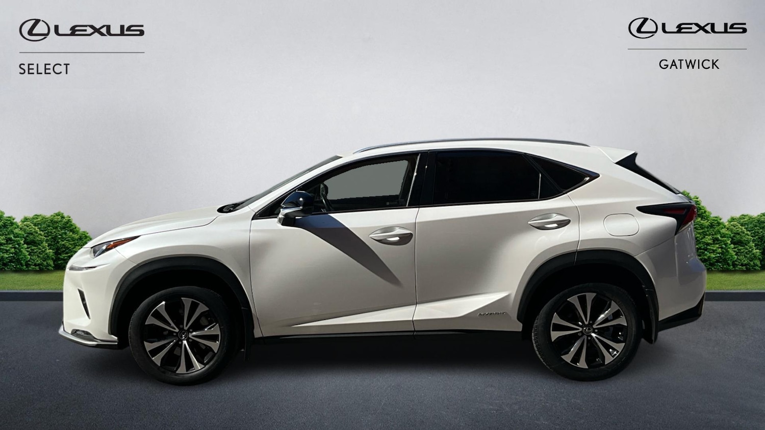 Used Lexus NX for sale - 78205237: Photo 3