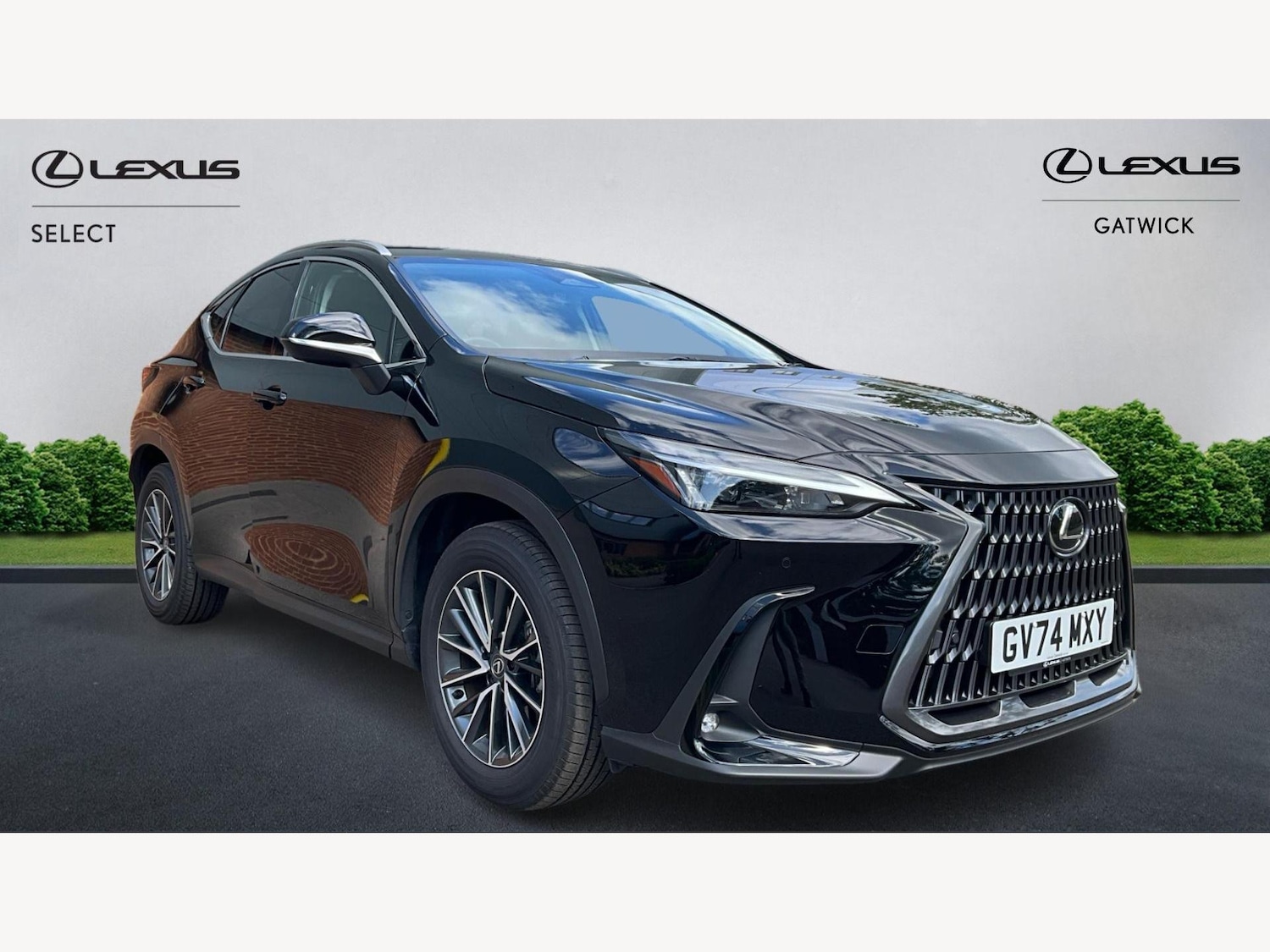 Used Lexus NX 2024 for sale - 76527845: Photo 1