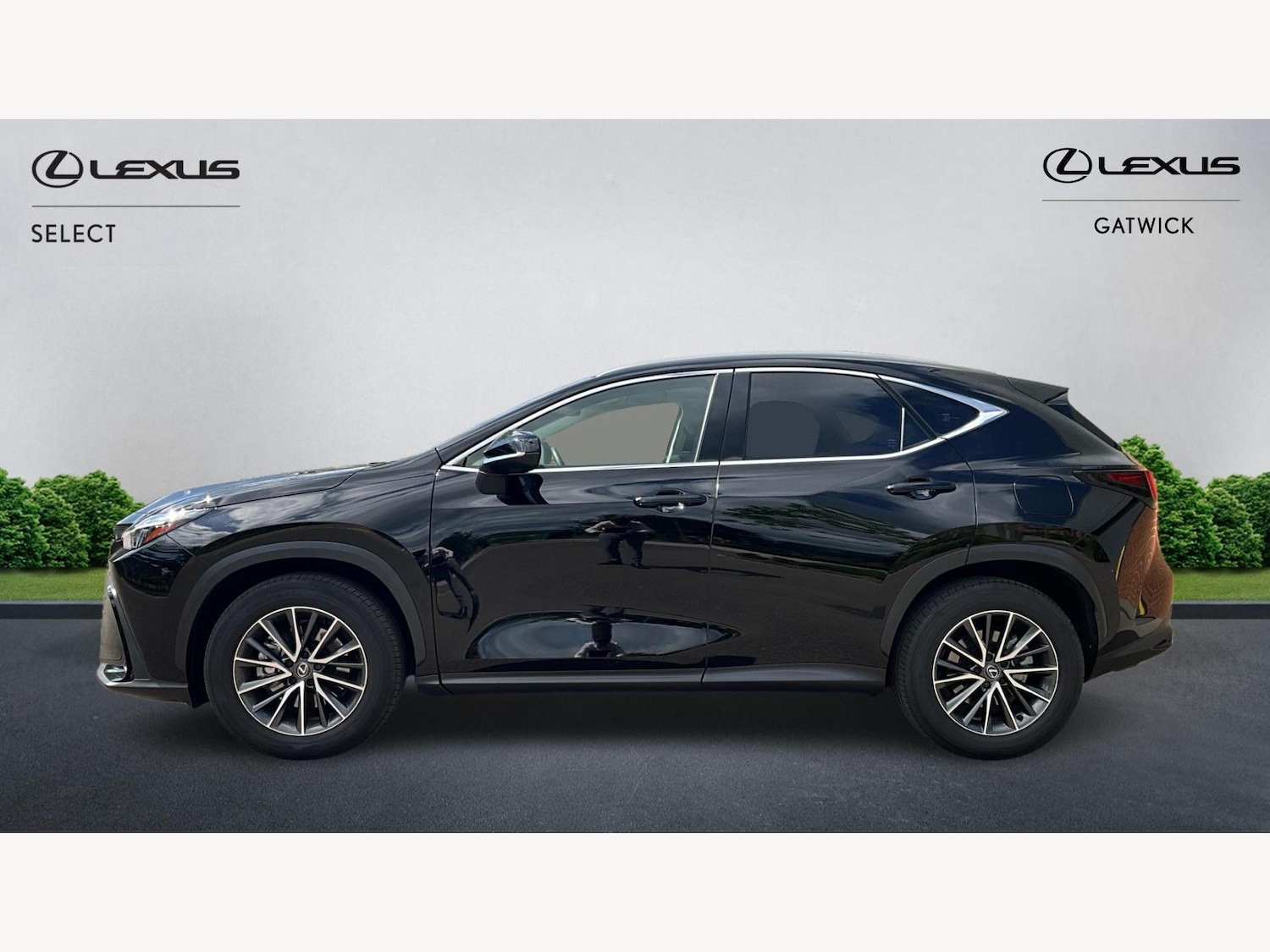Used Lexus NX 2024 for sale - 76527845: Photo 3