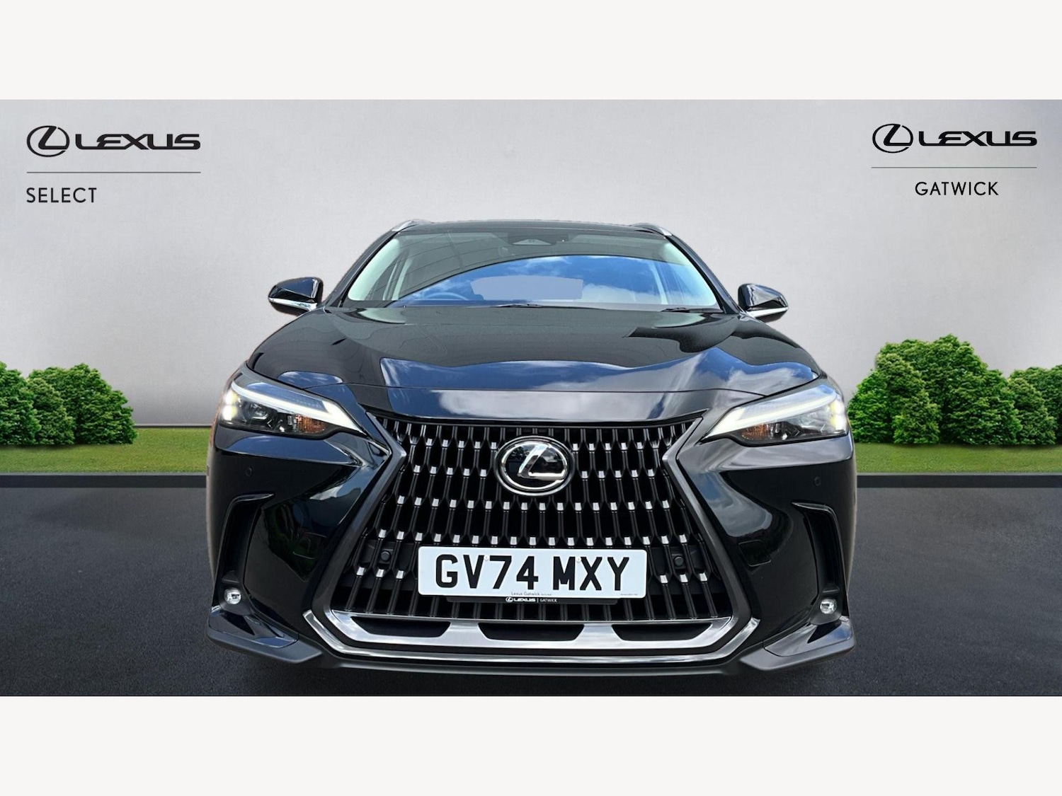 Used Lexus NX 2024 for sale - 76527845: Photo 6