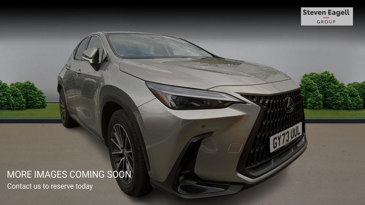 Used Lexus NX 2023 for sale - 78157083: Photo 1