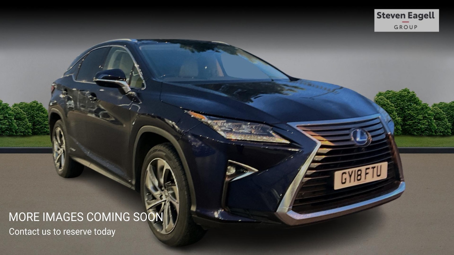 Used Lexus RX for sale - 77898481: Photo 1