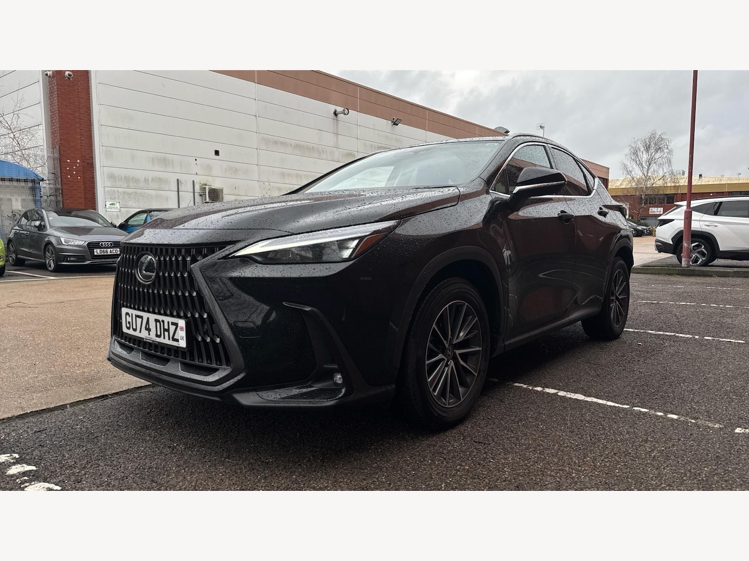 Used Lexus NX 2024 for sale - 77358503: Photo 19