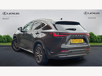 Used Lexus NX 2024 for sale - 77358503: Photo