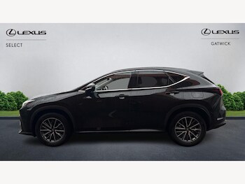 Used Lexus NX 2024 for sale - 77358503: Photo