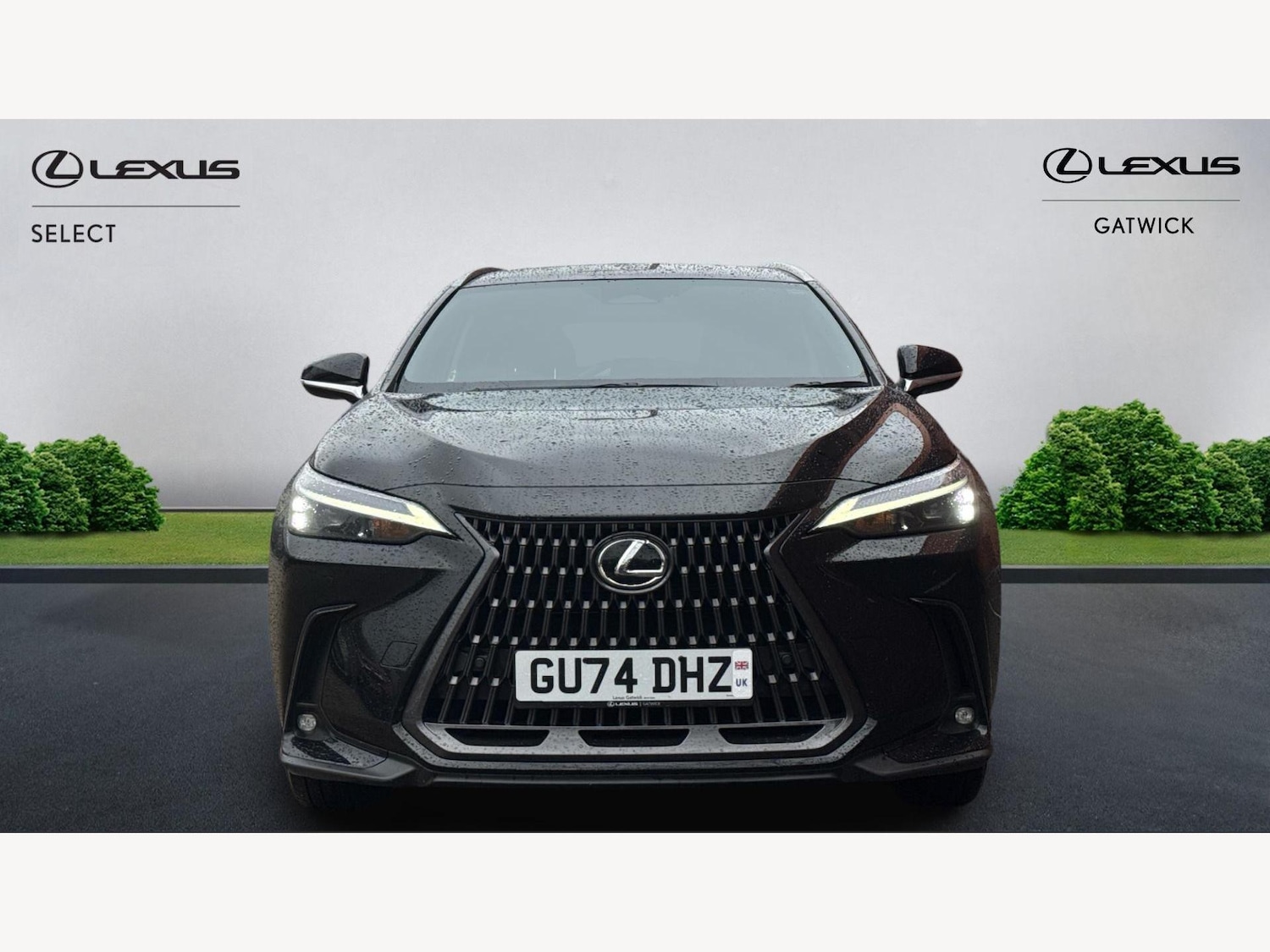 Used Lexus NX 2024 for sale - 77358503: Photo 6