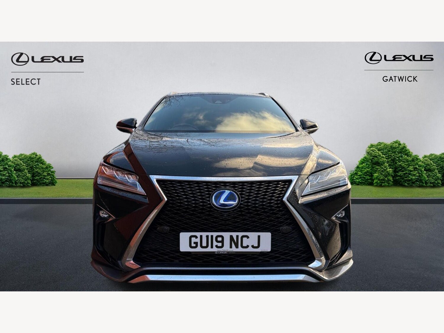 Used Lexus RX 2019 for sale - 76823921: Photo 6