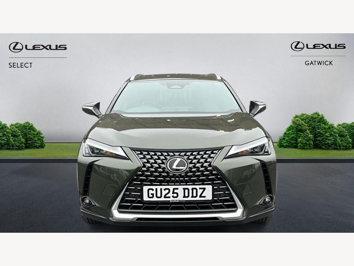 Used Lexus UX for sale - 77898166: Photo 6