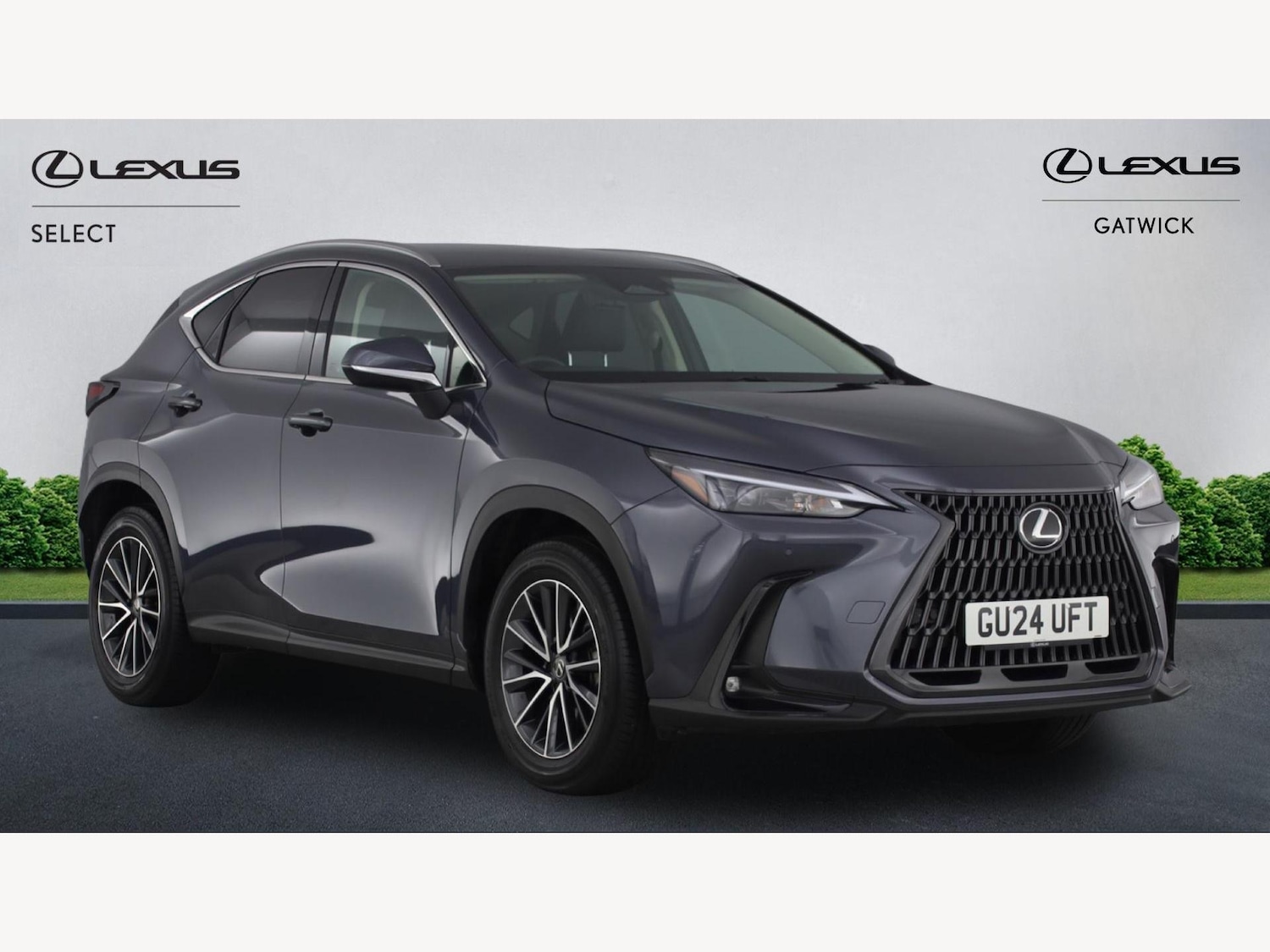 Used Lexus NX 2024 for sale - 76926650: Photo 1