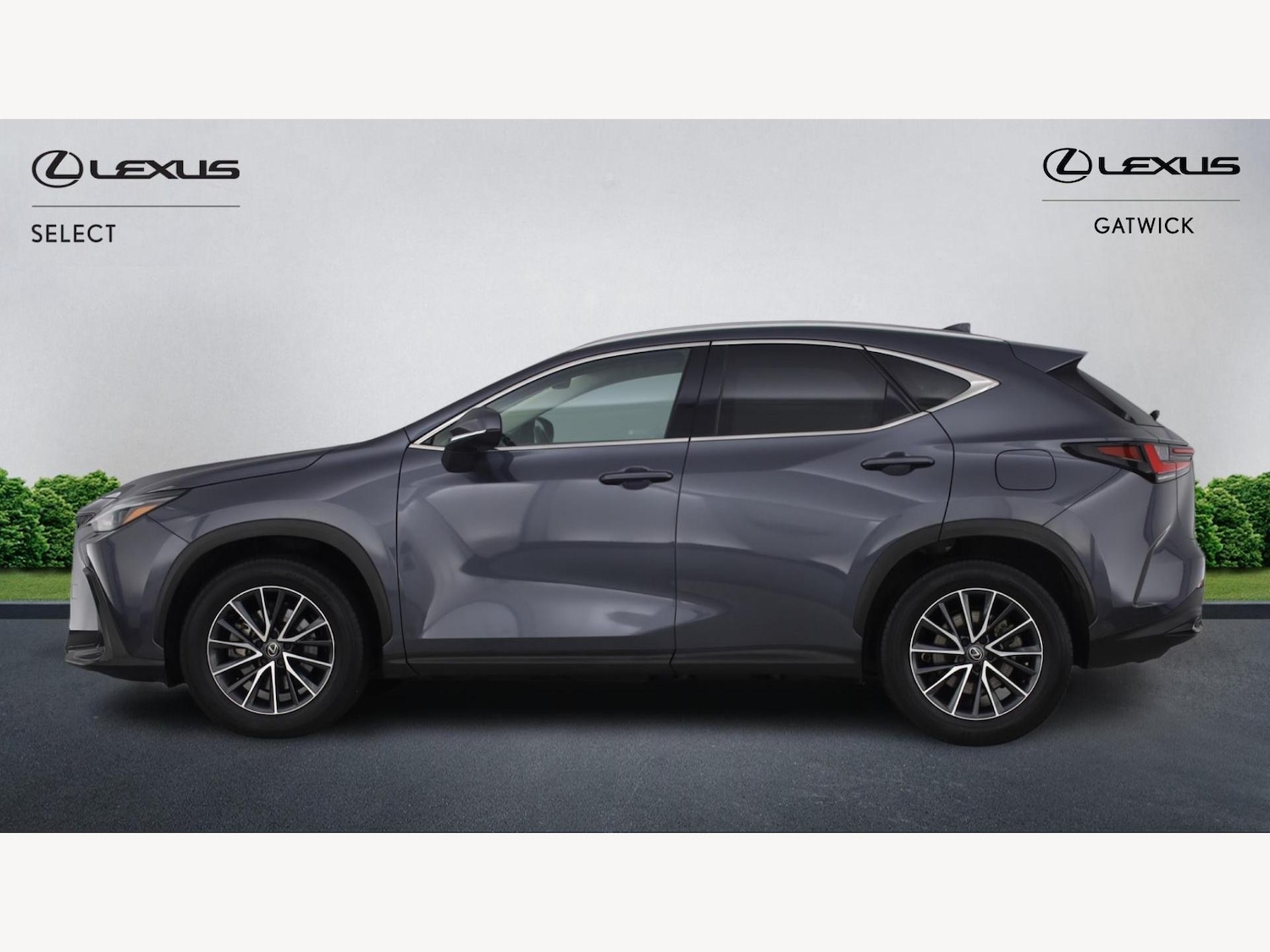 Used Lexus NX 2024 for sale - 76926650: Photo 3