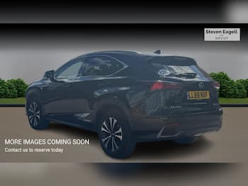 Used Lexus NX 2019 for sale - 79830805: Photo