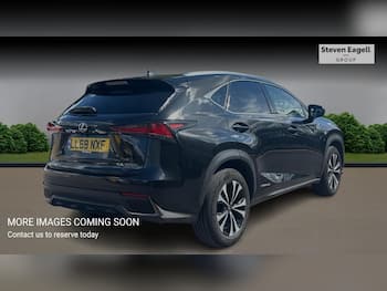 Used Lexus NX 2019 for sale - 79830805: Photo